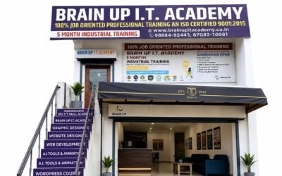 Best Computer Institute in Naraingarh – Brain Up IT Academy